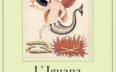 “L’iguana”, una fiaba visionaria moderna.
