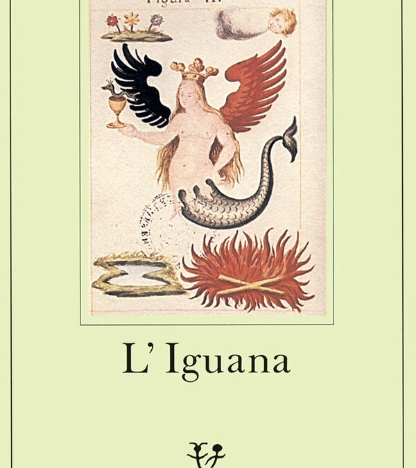“L’iguana”, una fiaba visionaria moderna.